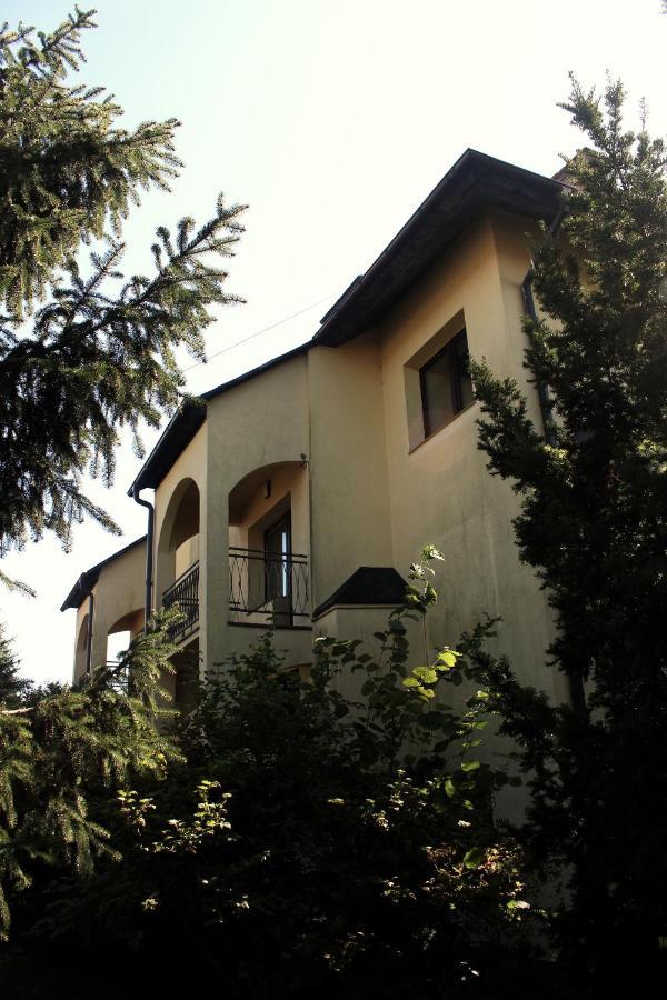 Apartment Wilk Leba